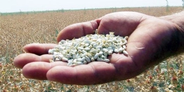 Aspir Yetiştiriciliği Amaçları